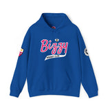 Bizzy Varsity Hooded Sweatshirt