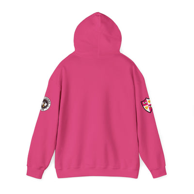 Bizzy Varsity Hooded Sweatshirt (Spring Collection)